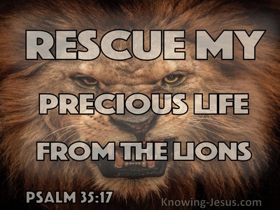 Psalm 35:17 Rescue My Precious Life From The Lions (brown)